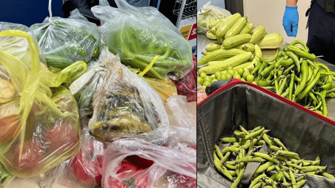 Türkiye’den dönen gurbetçinin bavulunda 29 kilo yiyecek ele geçirildi