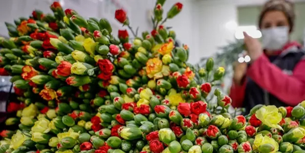 Türkiye'den 73 ülke satın alıyor!