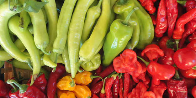 Türkiye'den gönderilen biberlerde tespit edildi! Tamı tamına 45 kat fazla... Hemen iade ettiler