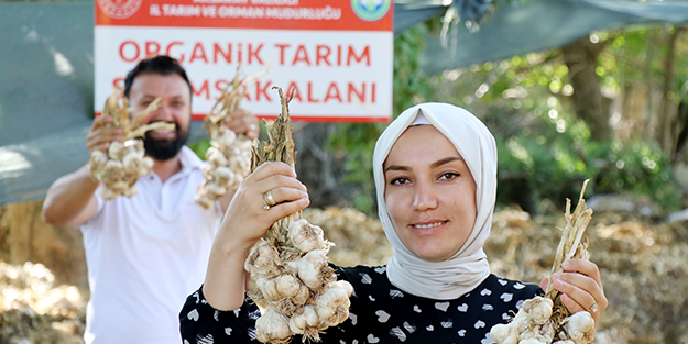 Türkiye’den kapış kapış alıyorlar! Rusya'dan sonra Almanya sıraya girdi