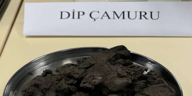 Türkiye'de ormandan değil dip çamurundan balata ürettiler: