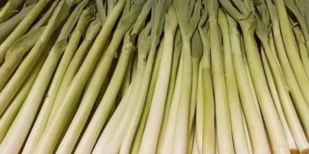 Türkiye'den tüm dünyaya yayıldı: Beyinde ve damardaki tıkanıklığı geçiren tek besin! Şifasıyla bayram ettirecek