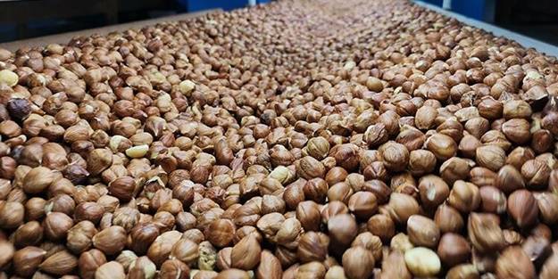 Türkiye'den yeni rekor! Tam 2 milyar 260 milyon dolar