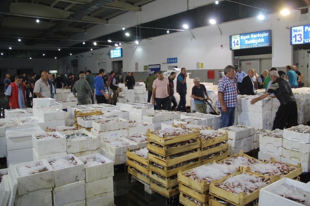 Türkiye’nin balıkları Samsun’dan 