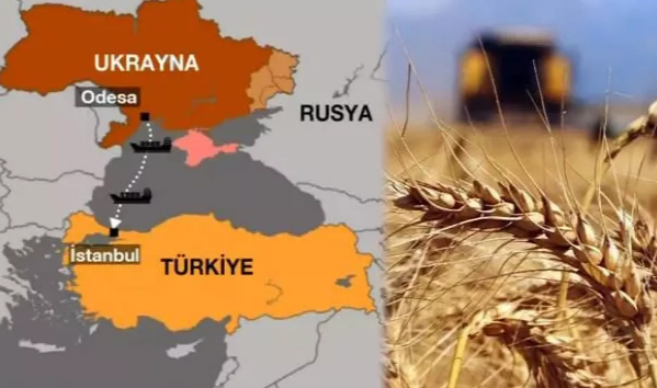 Türkiye'nin başlattığı tahıl koridorunda sona doğru