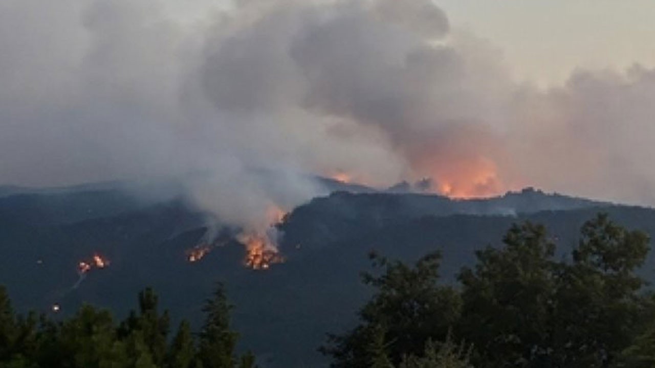 Türkiye'nin ciğerleri yandı! Kül yağmurundan korunmak mümkün mü?