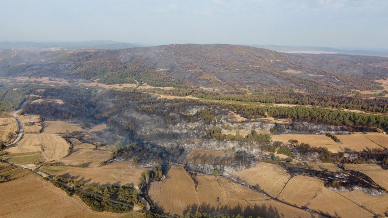 Türkiye'nin ciğerleri yandı! Yangının verdiği hasar böyle görüntülendi