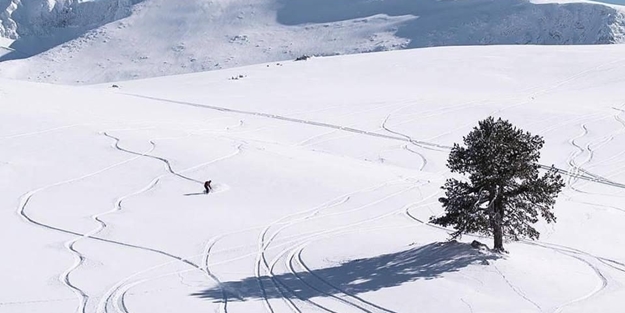 Türkiye'nin dağları para basacak... Çalışmalar başladı