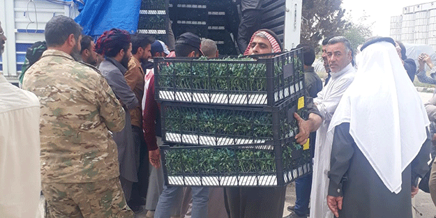 Barış Pınarı Harekatı bölgesinde tarımsal çeşitlilik artırılıyor