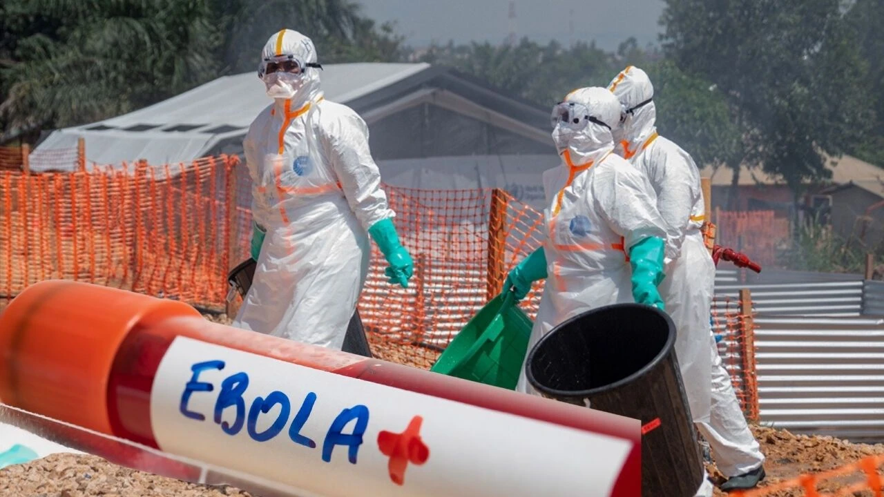 Türkiye'nin dibinde Ebola alarmı!