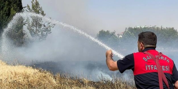 Türkiye'nin ekinlerine sabotaj şüphesi! Bir onlarca dönümlük buğday tarlası daha küle döndü!
