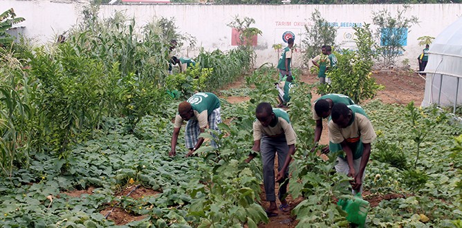 Türkiye’nin eli her yerde