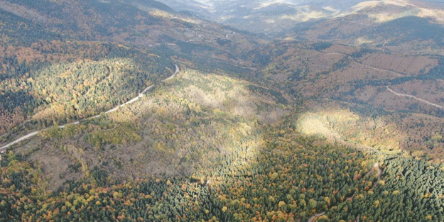 Türkiye’nin en büyük blok ormanları! Karabük’te doyumsuz görüntüler