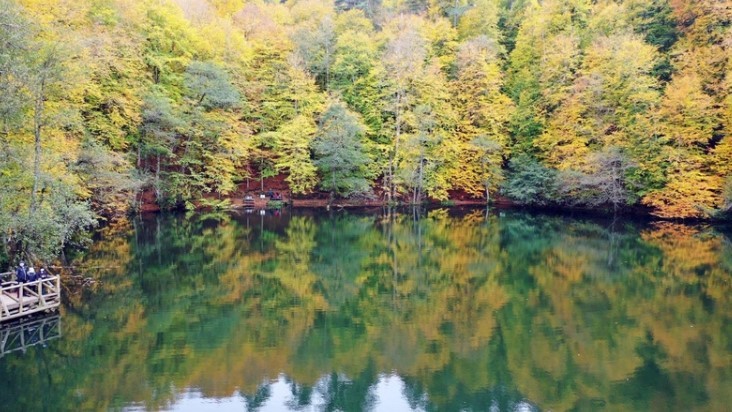 Türkiye'nin en güzel milli parklarından biri... Korkunç gerçek ortaya çıktı!