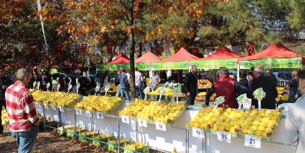 Türkiye'nin en iyi ayvası Eşme Ayvası