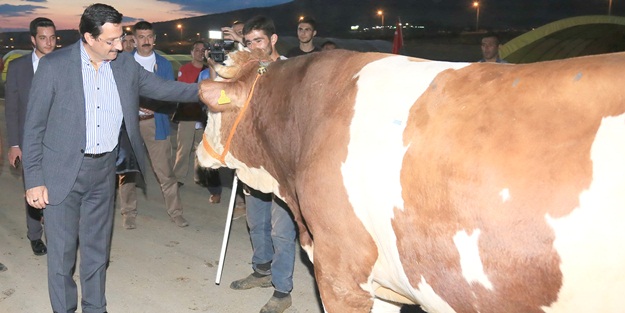 Türkiye'nin en nitelikli kurban satış alanı Keçiören'de