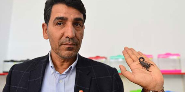 Türkiye'nin en ürkütücü işini yapıyor! Dünyada sadece Brezilya ve Meksika'da var