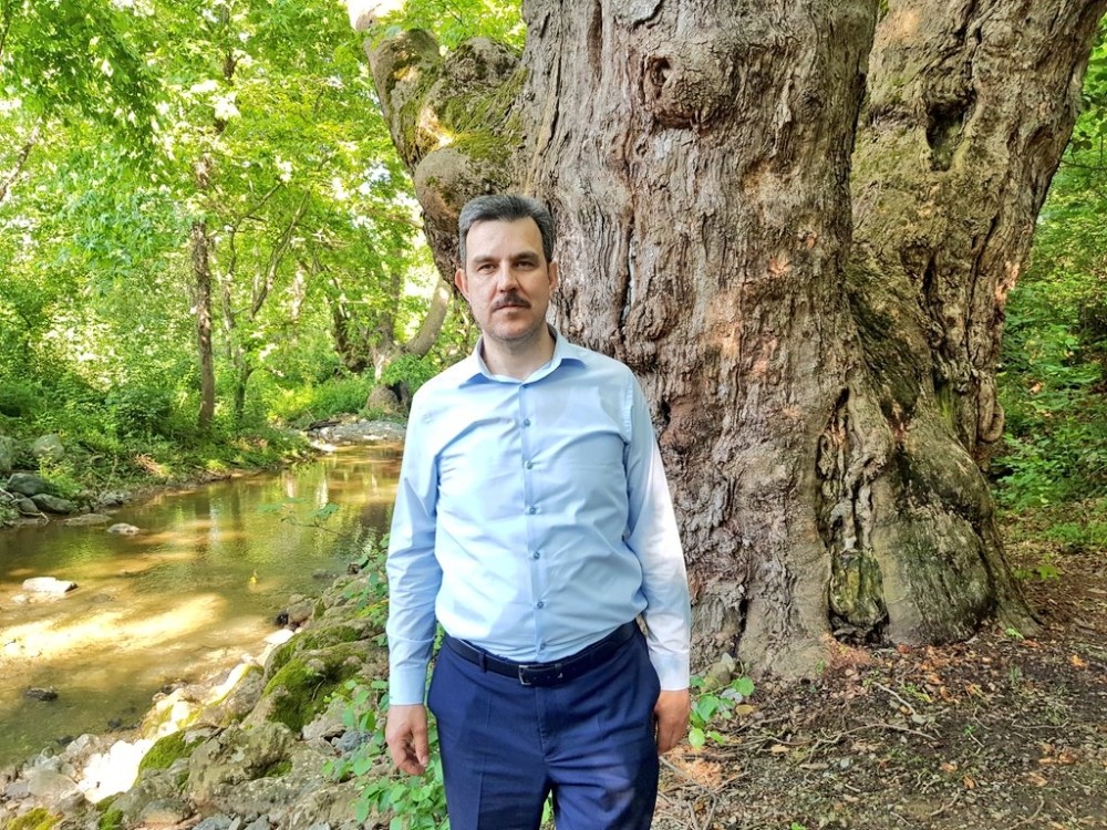 Türkiye’nin en yaşlı çınarı 1100 yaşında 