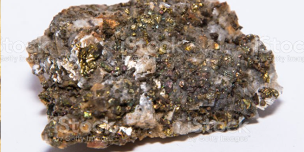 Türkiye'nin her yerinden fışkırıyor! Dünyaya satacağız, resmen dolar yağacak