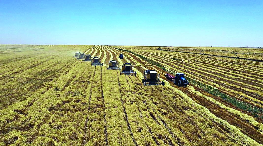 Türkiye’nin hububat stokları hasat sezonuna kadar dolu