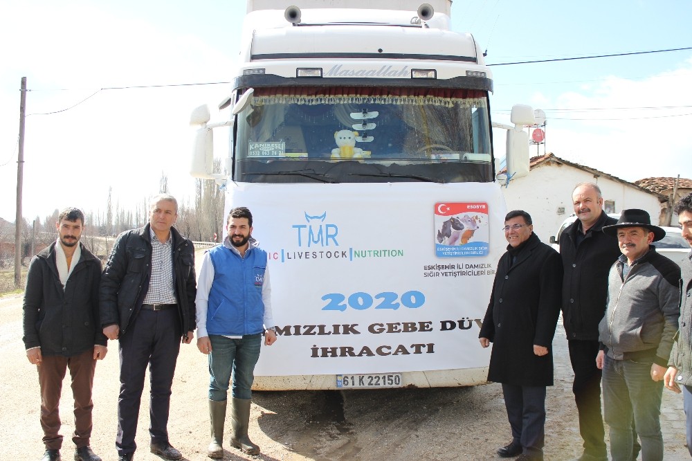 Türkiye’nin ilk damızlık düve ihracatı Eskişehir’den yapıldı 