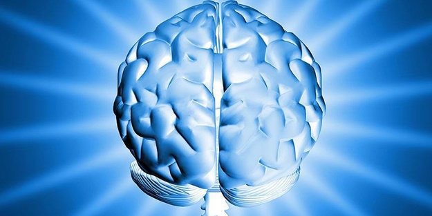 Türkiye'nin ilk milli yapay zekası: Serdoo