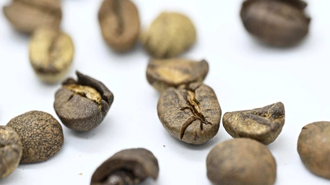 Türkiye'nin kahveleri 146 ülkede ağızları tatlandırdı: İşte en fazla satın alan ülkeler!