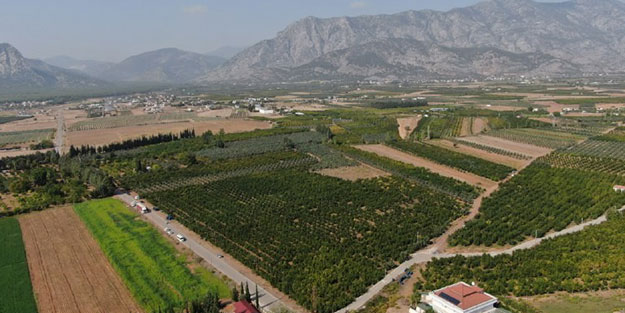 Türkiye'nin kapısını çalıyorlar! Rusya ve Avrupa ne yapıp edin gönderin diyor... İnanılmaz talep