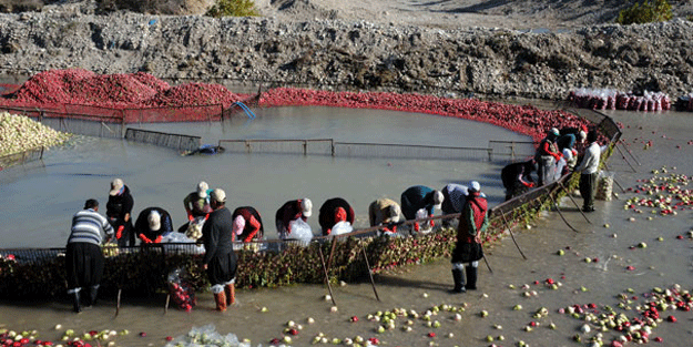 Türkiye’nin kırmızı altını… Yüzler gülüyor