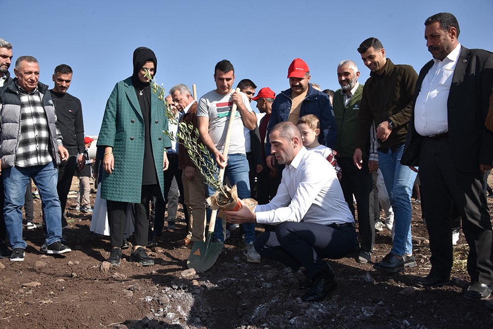 Türkiye'nin küresel bayrak taşıyıcısından Şanlıurfa'ya 90 bin meyve fidanı