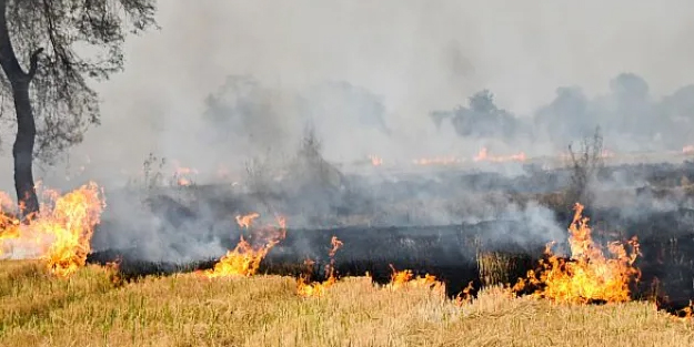 Türkiye'nin o ilinde valilik kararı! Bir uyarı daha: Bunu yapana (TL) para ödeyecek, ceza geliyor! İlişkin açıklama