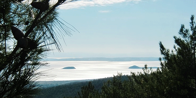 Türkiye'nin o sahilinde doğalgaz sürprizi! Çalışmalar yapıldı, denizden gaz fışkıracağına herkesin inancı tam