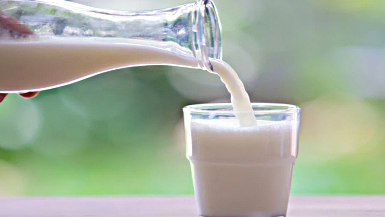 Türkiye'nin Süt devi iflas bayrağını çekiyor! Kimse bunu beklemiyordu! Mahkeme kararını verdi