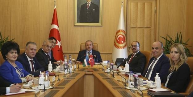 Türkiye'nin teklifine kardeş ülkeden destek: Tam sırası