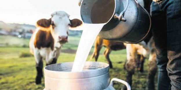 Türkiye'nin ünlü süt ürünleri üreticisi iflas etti!