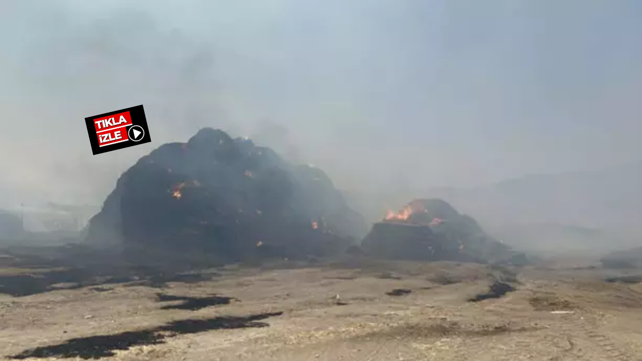 Türkiye’nin yüreğini yakan şehitlerin bulunduğu bölge öyle görüntülendi