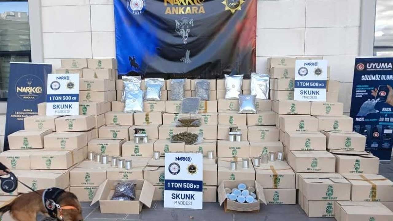 Türkiye'ye 1 buçuk tonluk skunk sokacaklardı!