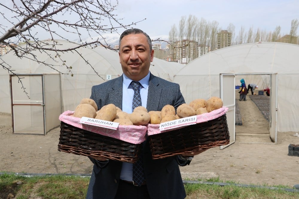 Türkiye’ye 2 milli patates çeşidi daha tescillendi 