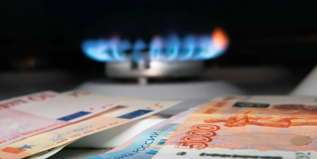 Türkiye'ye Almanya'yı örnek gösterenler iyi okusun! Tasarruf çağrısı yaptılar