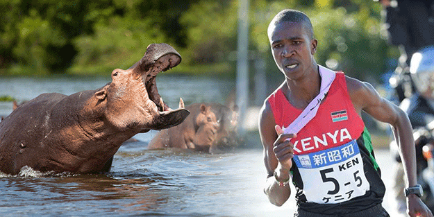 Türkiye'ye gelmek için saatler sayan Kenyalı atlete su aygırı saldırdı