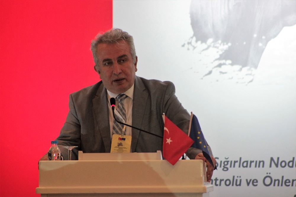 Türkiye’ye güneydeki ülkelerden giriş yapan hastalıkla mücadele sürüyor 