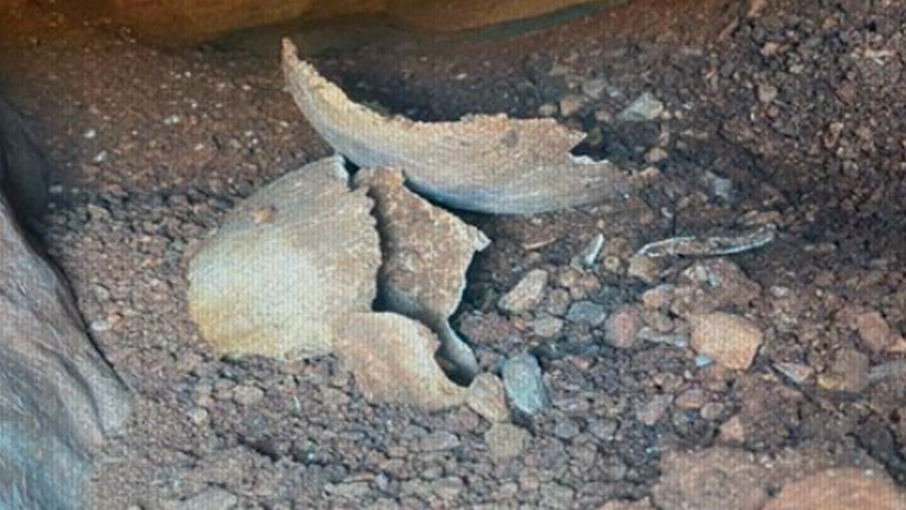 Türkiye'ye tarihi keşif müjdesi geldi: 6 mezar bulundu!