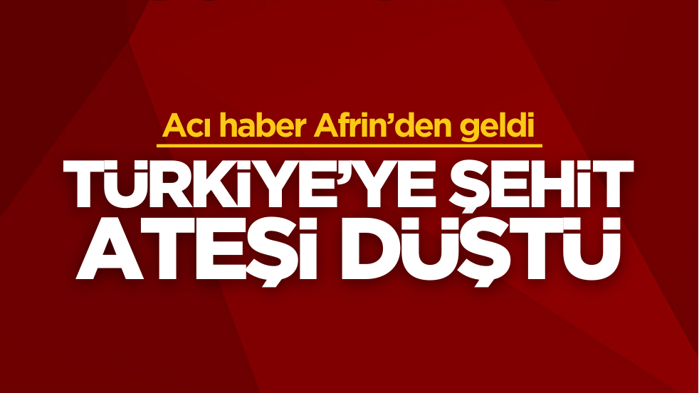 Türkiye’ye şehit ateşi düştü
