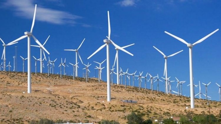 Türkiye'ye talep günden güne yükseliyor