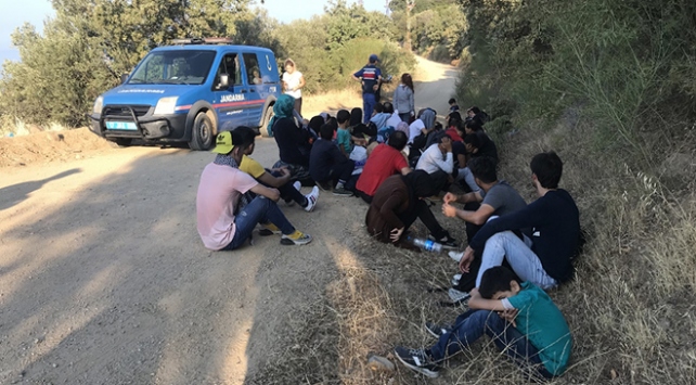 Türkiye'ye yasa dışı yollarla giren 50 göçmen yakalandı