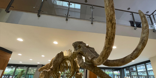 Türkiye'yi ayağa kaldıracak sergi: Görenler dehşete düşecek! Büyük dev hizmet, Memduh Başkan'dan...