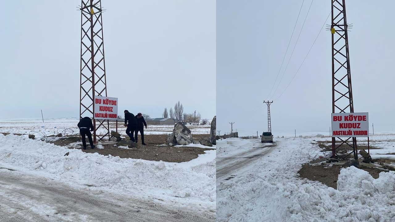 Türkiye'yi endişelendiren kuduz alarmı! Karantinaya alındı