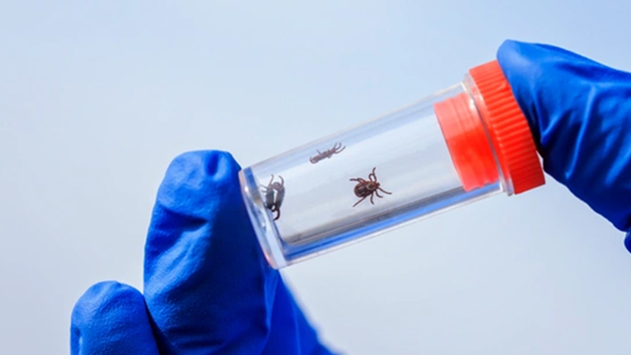 Türkiye'yi esir aldı! 6 şehirde ölüm saçtı her yere yayılıyor!