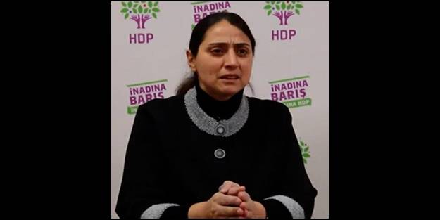 Türkiye'yi 'soykırım'la suçlayan HDP'li vekilden Batı'ya skandal müdahale çağrısı! 