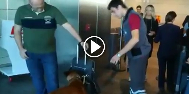 Türkleri köpeklerle arayan Avusturya'ya anladığı dilden cevap